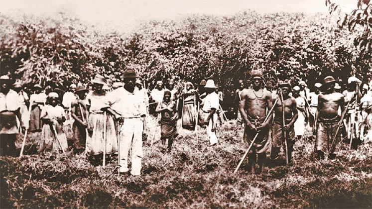 slaves on a plantation